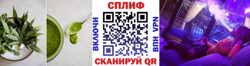 где купить   Чапаевск  Canna-Cookies конопля 