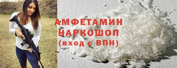 крисы Алексин