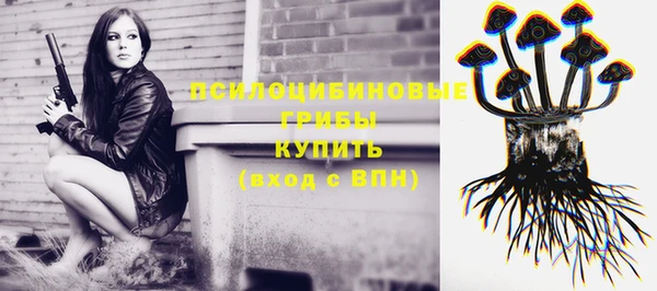 apvp Абинск