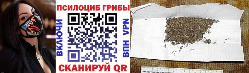 kraken ССЫЛКА  Чапаевск  Галлюциногенные грибы прущие грибы 